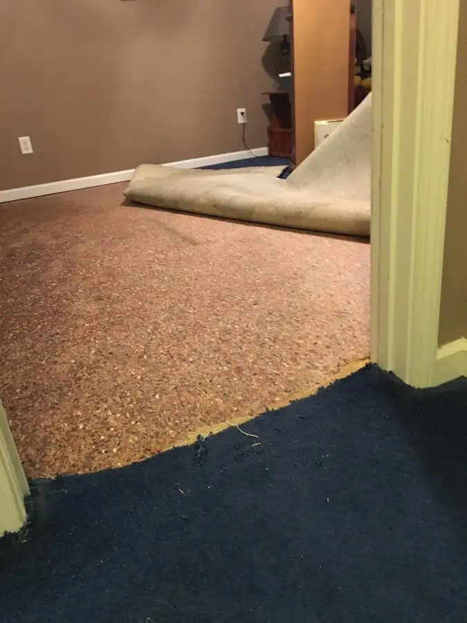 Carpet pad removal revealing water damage during Water Mitigation Services in Kemp Mill