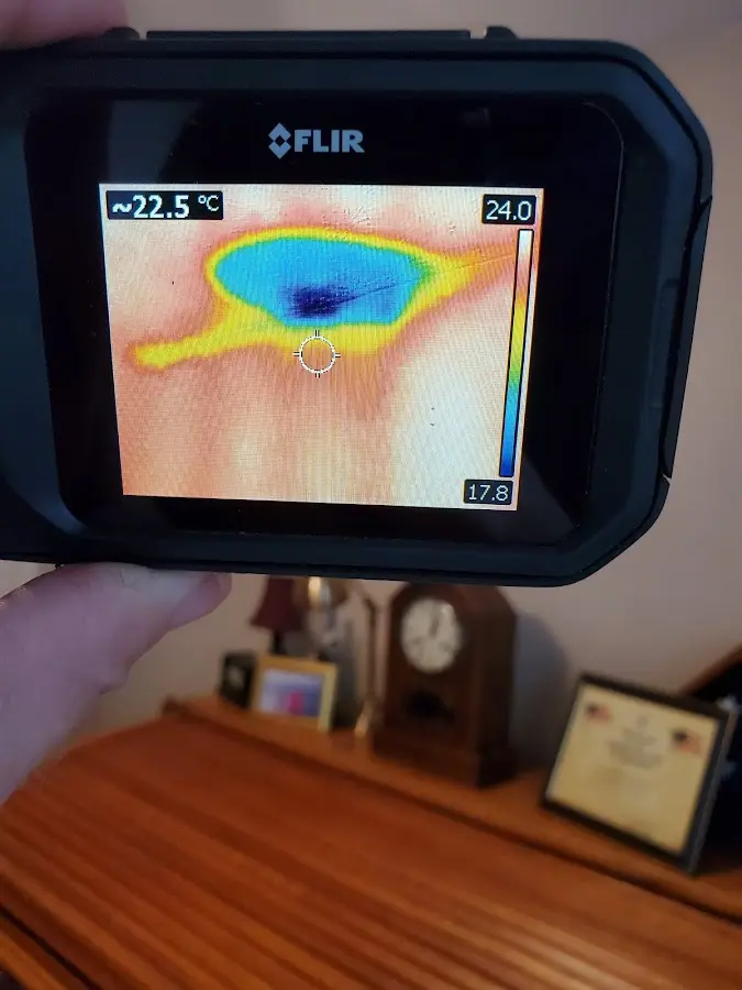 Thermal imaging inspection for water damage in Kemp Mill